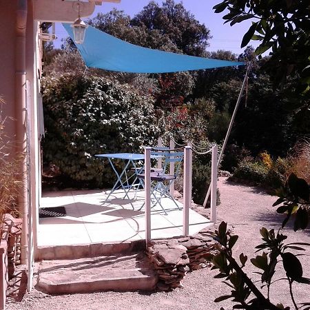 Les Florides Apartment L'Isle-sur-la-Sorgue Ngoại thất bức ảnh