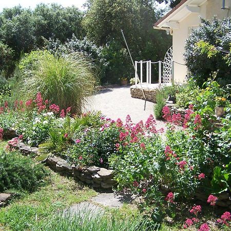 Les Florides Apartment L'Isle-sur-la-Sorgue Ngoại thất bức ảnh