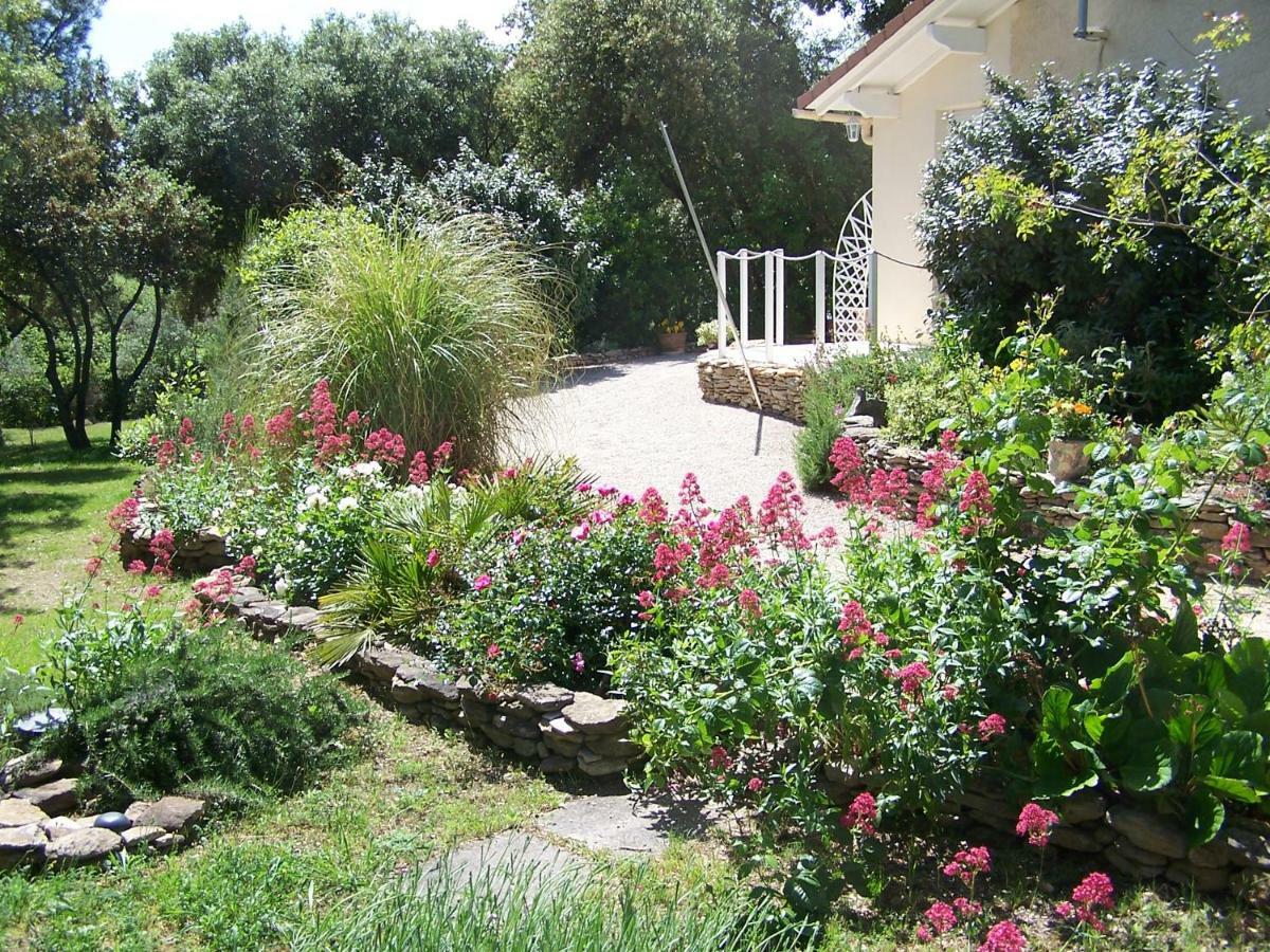 Les Florides Apartment L'Isle-sur-la-Sorgue Ngoại thất bức ảnh