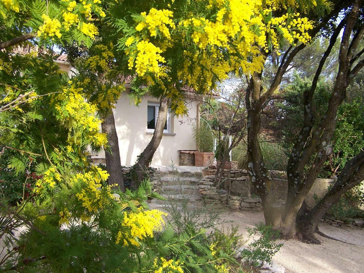 Les Florides Apartment L'Isle-sur-la-Sorgue Ngoại thất bức ảnh